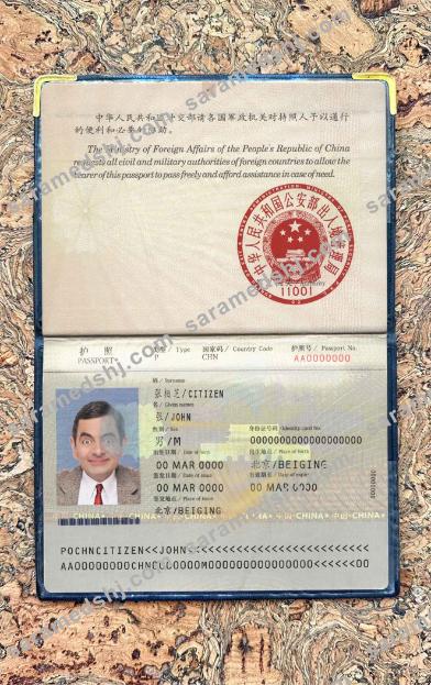 China pass (2007-2009) photo look